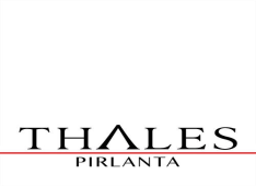 Thales Pırlanta İ&#231; Ve Dış Tic. A.Ş
