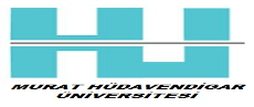 Murat Hüdavendigar Üniversitesi
